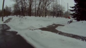 за цветами в Архангельск