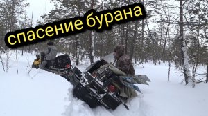 СПАСЕНИЕ БУРАНА #ТАЙГАХМАО