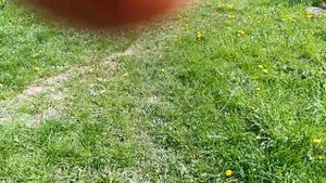 Бензилбензоат от муравьев - полное разочарование спустя 5 дней 20240503