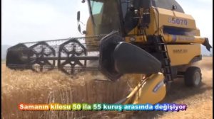 Samanın kilosu 50 ila 55 kuruş arasında değişiyor