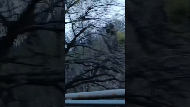 Алматы менің сүйікті калам,Медеуге апарар жол 😘 смотреть онлайн