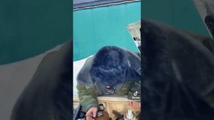 ПОДБОРКА ЛУЧШИХ ПРИКОЛОВ 2021 2022  БАТЯ и сын #3