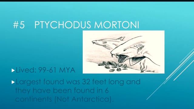 Top 10 Prehistoric Sharks смотреть онлайн