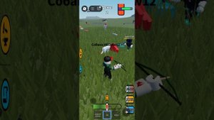 крушения самолёта в roblox