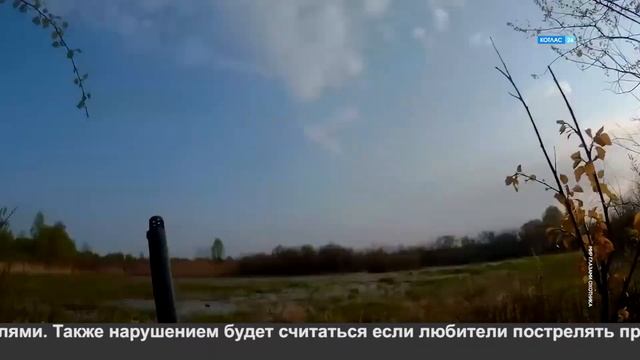 Изменения в правилах охоты.