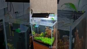 Освещение в аквариуме