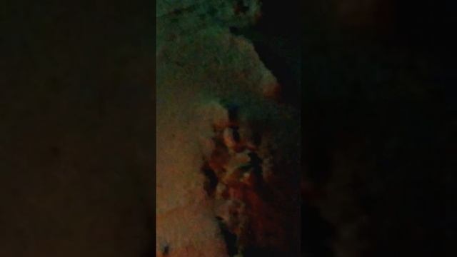 Голодные песцы смотреть онлайн