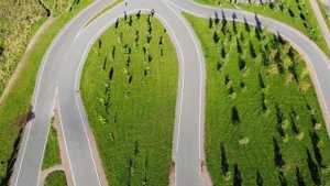 Лыжероллерная трасса