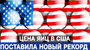 Цена яиц в США поставила новый рекорд