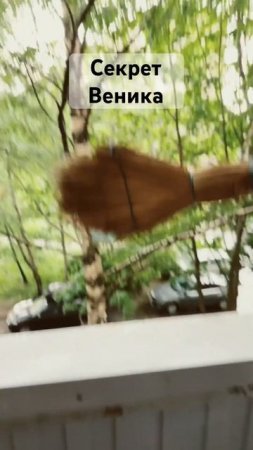 Секрет веника