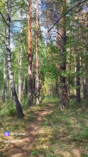 ЭКО тропа "Тайны лесных троп" и "В царстве водяной лилии" / Дорогами Орловского Полесья #велопоход