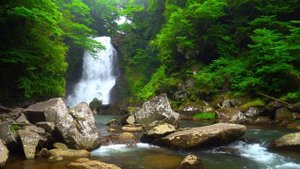 4K Спокойная атмосфера водопада и реки Расслабляющие звуки природы для сна и учебы Япония.