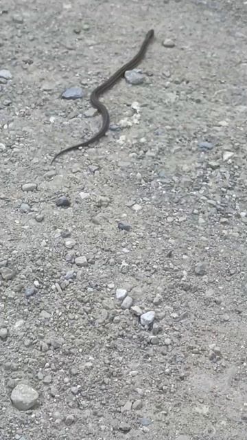 17 сентября 2022 г. смотреть онлайн