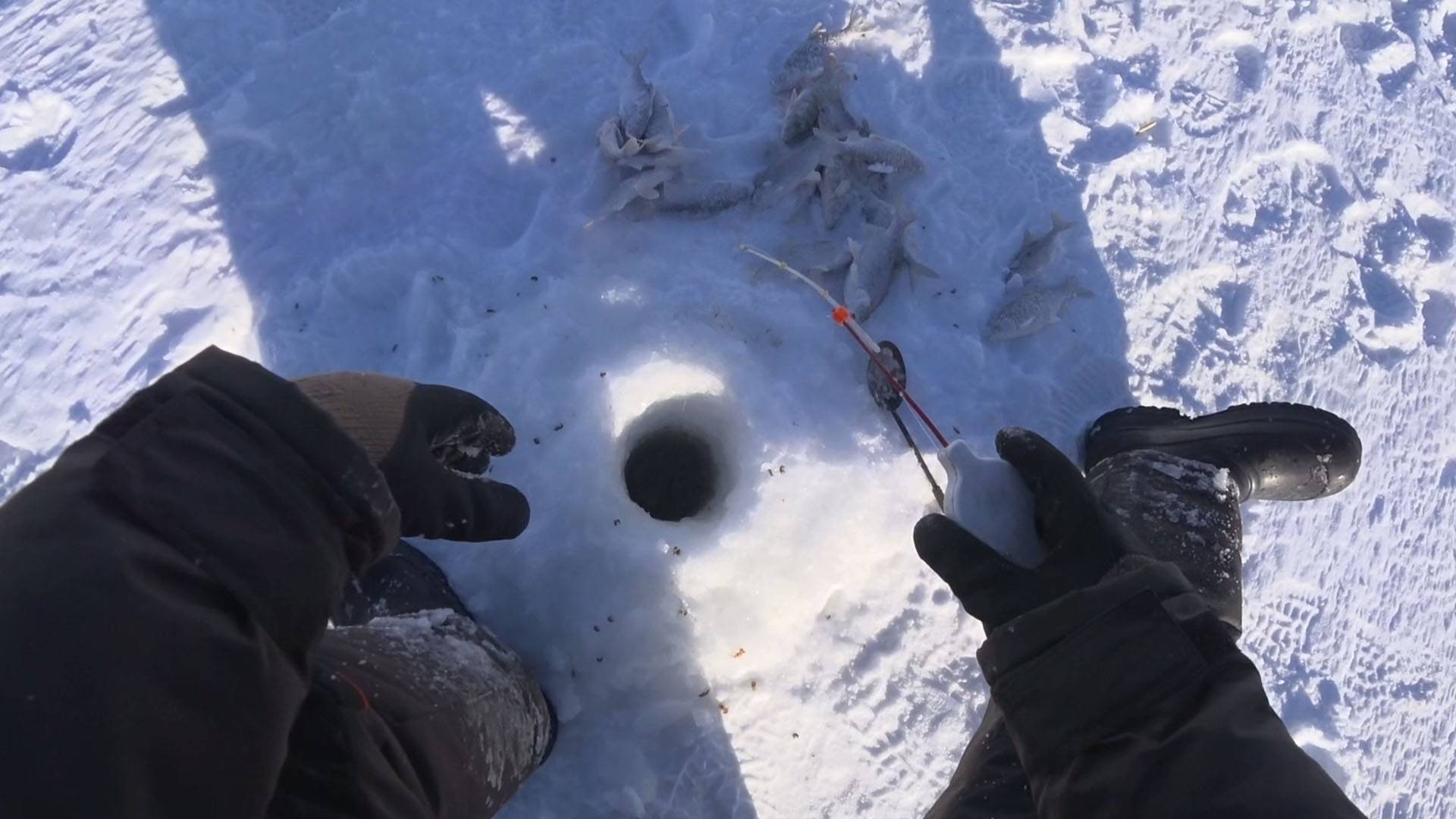 рыбалка на чебака и судака в морозный день. смотреть онлайн