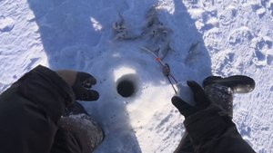 рыбалка на чебака и судака в морозный день.