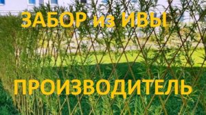 Компания ПАВИВА Дешёвая долговечная Живая изгородь из ивы в таунхаусе и в коттеджных посёлках