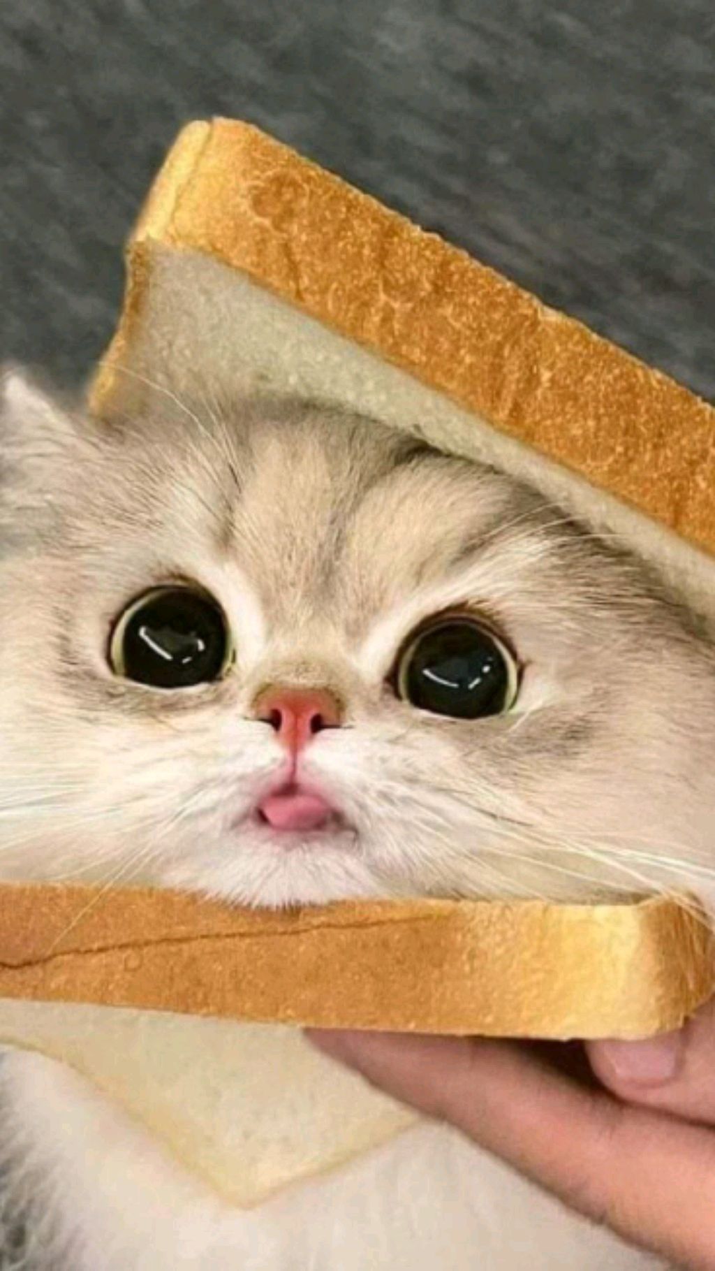 разговариваем