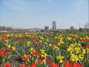 Какие фото от Canon Power Shot SX150 IS?.     mp4