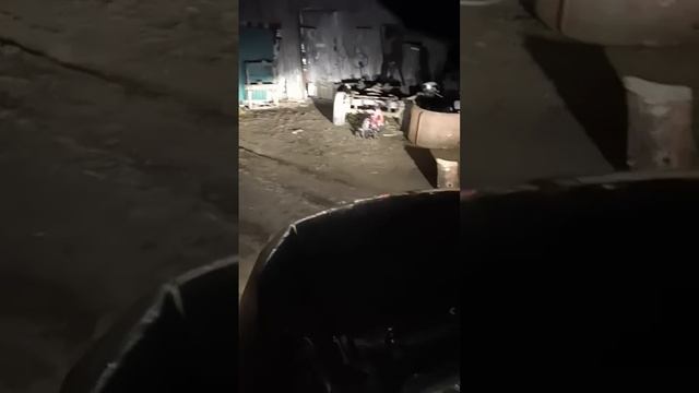 led лампы k5c mini 4300k. в ближнем свете рено дастер отзыв. смотреть онлайн