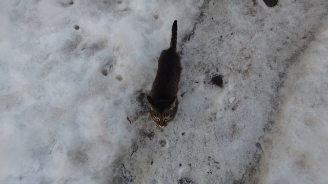 Планы на стройку / Очень расстроилась🤔 / Весна🌼 смотреть онлайн