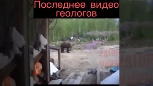 Медведь напал на геологов!!!