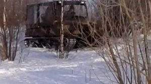 Снегоболотоход Медведь зима