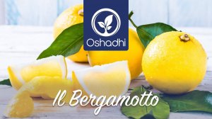 Бергамот (Citrus bergamia) | Портрет эфирного масла от доктора Мальте Хоццеля