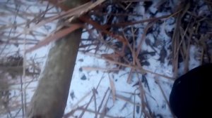 Петлі на фазана зимой