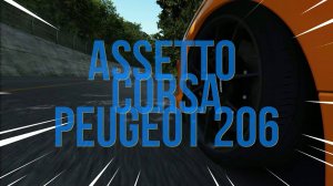 ASSETTO CORSA/PEUGEOT 206