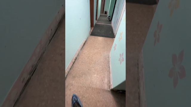 Т-Банк / Сбер 8-913-865-67-84Пометьте перевод словом «МИР»