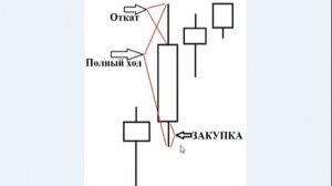 Курс форекс Торговля сеткой FOREX