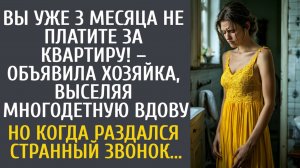 История из жизни как хозяйка квартиры хотела выселить многодетную вдову из-за просрочки