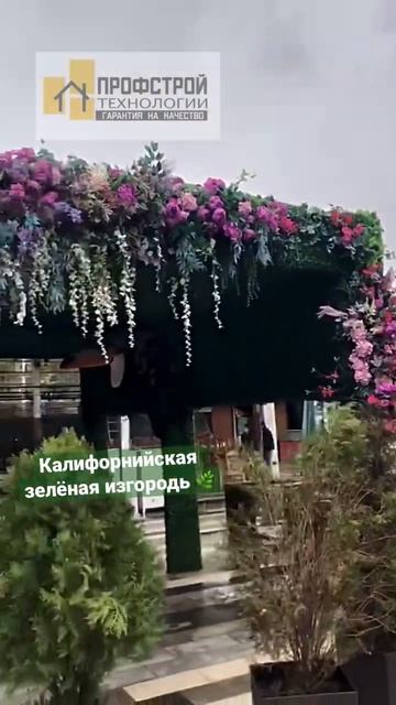Калифорнийская изгородь🌿               #зеленыйзабор #калифорнийскаяизгородь #профстройтехнологии