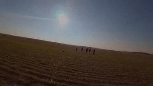 Каменный лог (6)