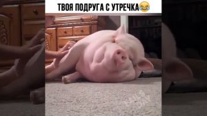 Девки трахают девок