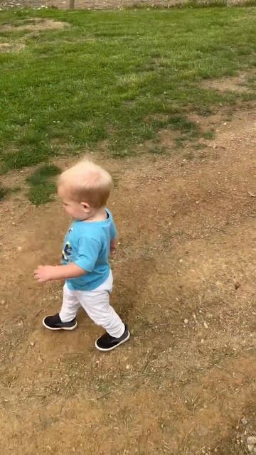 Farm life with his best friend! #farmlife #stonyspringfarm #duck #ducklife #duckit смотреть онлайн