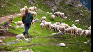 Рахматила аке знаток города 99 уровня