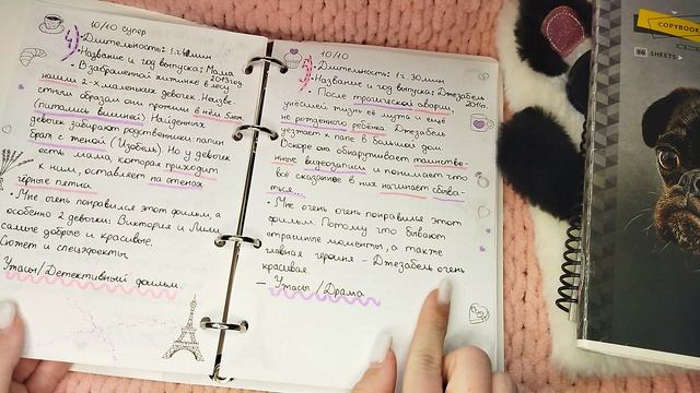 6 идей чем можно заполнить ваш блокнот