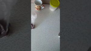 Чай из шиповника