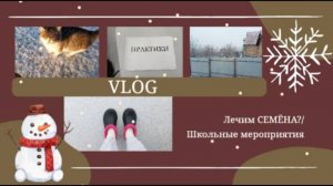 VLOG Лечим СЕМЁНА?🐈 Школьные мероприятия🤓