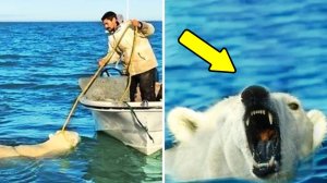 Усталый медведь продолжал преследовать этого человека.