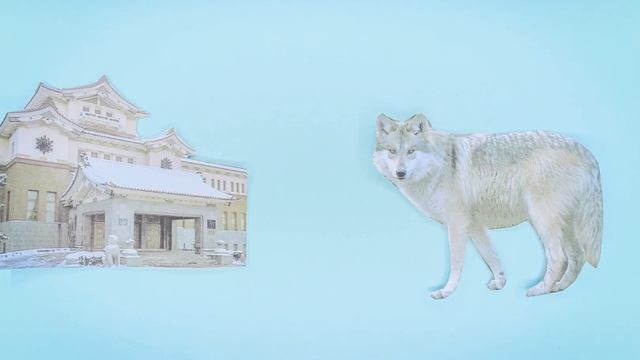 Ролик про Сахалин смотреть онлайн