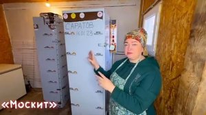 Вечный бизнес под ключ! Диана Строгая советует!