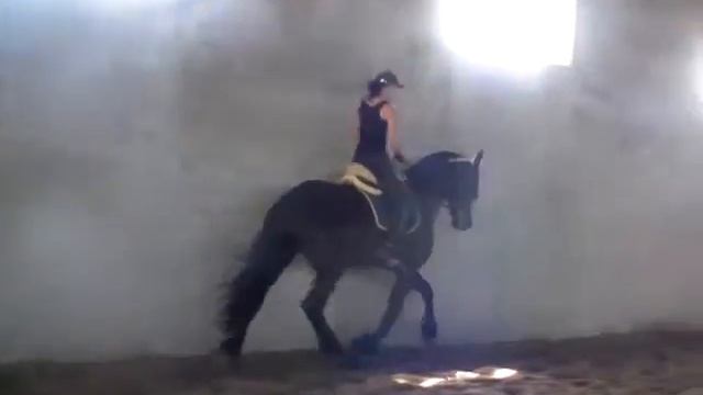 Timmo Tie смотреть онлайн