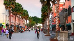 ALBLAK 52 — КАКИМ ВЫ ЕГО НЕ ЗНАЛИ | ЧТО ТАКОЕ 52 NGG? | ПОЛНАЯ БИОГРАФИЯ ALBLAK 52