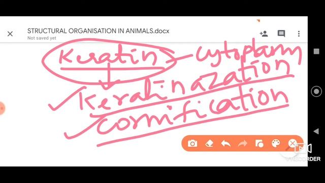 Structural Organization in Animals Part 3 смотреть онлайн