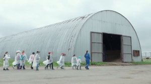 Впечатления от посещения молочной фермы "Вербиловское"