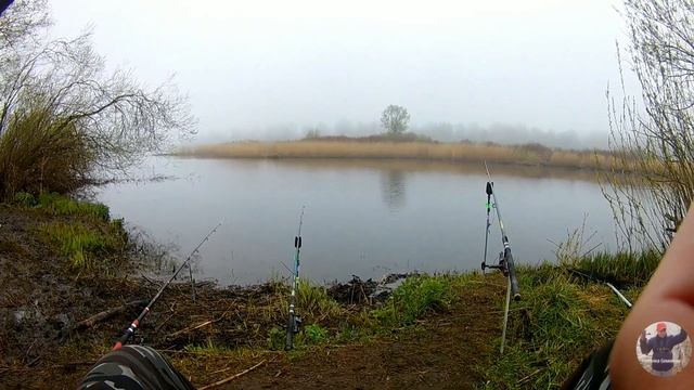 Ждали Карася и Линя, а брала только щука смотреть онлайн