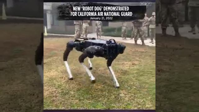 recent dog robots been tested смотреть онлайн