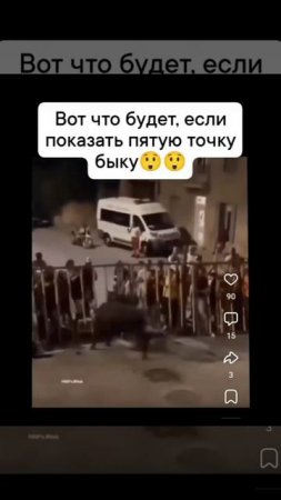 Показал быку голую жопу, но бык это расценил как оскорбление и насадил на рог